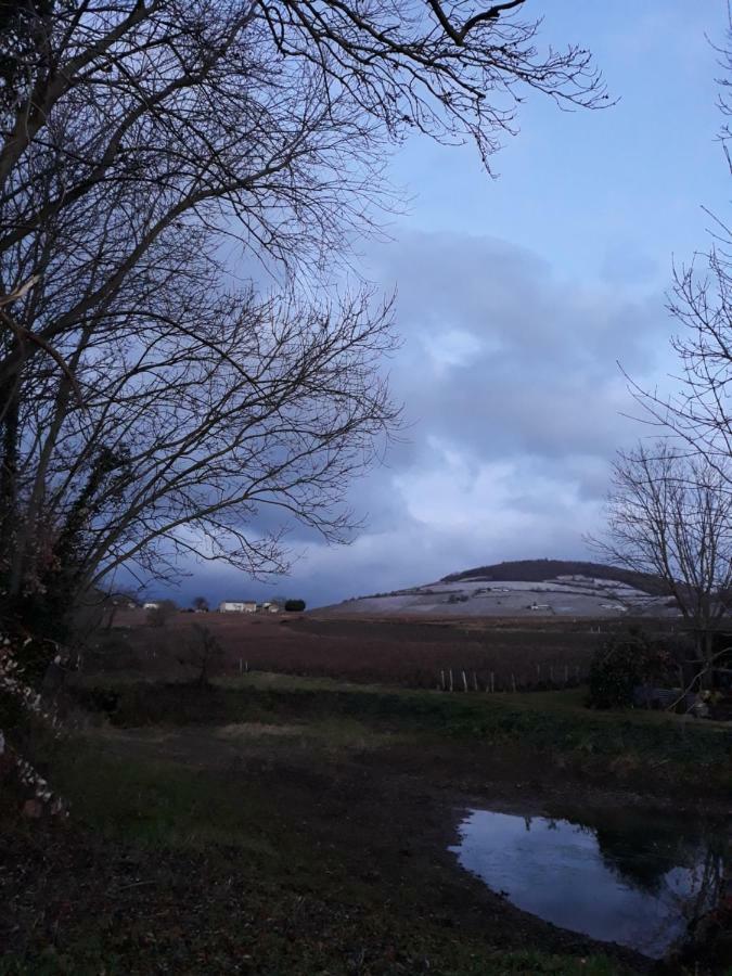 La Maison Des Vignes Charentay ภายนอก รูปภาพ