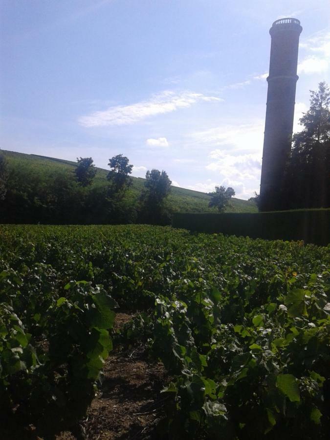 La Maison Des Vignes Charentay ภายนอก รูปภาพ