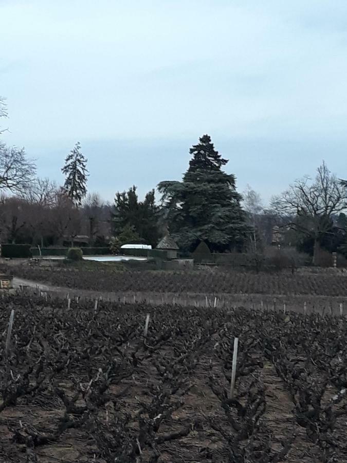 La Maison Des Vignes Charentay ภายนอก รูปภาพ